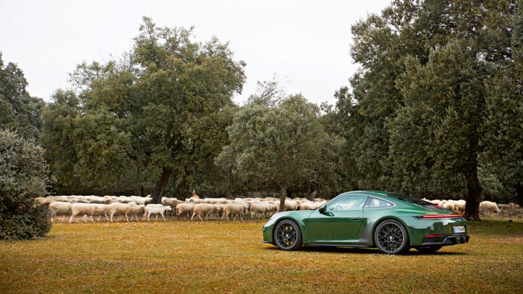 Porsche 911 Cuarenta Edition, Espa&ntilde;a, 2025, Porsche Ib&eacute;rica
