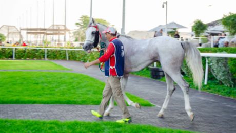 Porsche Bahrain partners with Rashid Equestrian & Horseracing Club for a prestigious race day