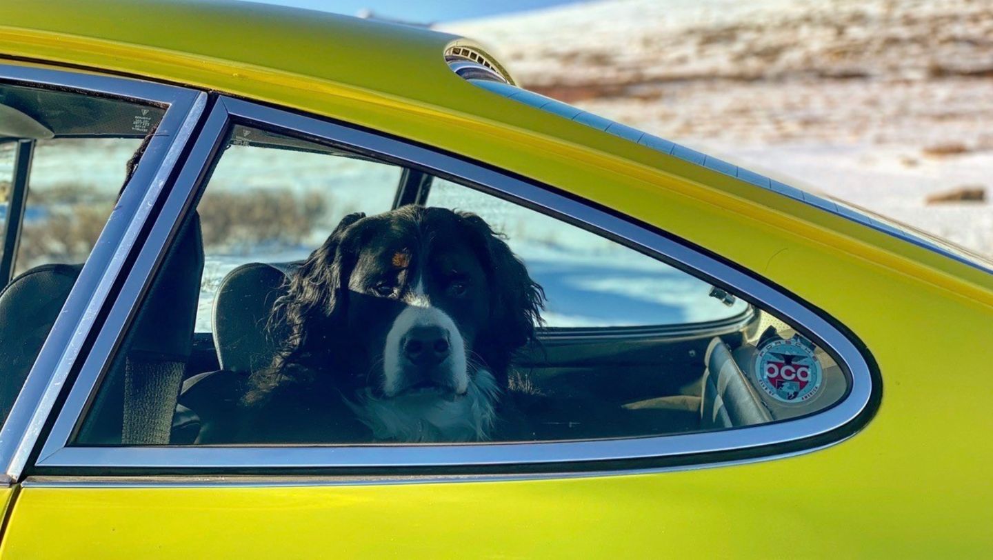 911 T, Independence Pass, Colorado, 2021, Porsche AG