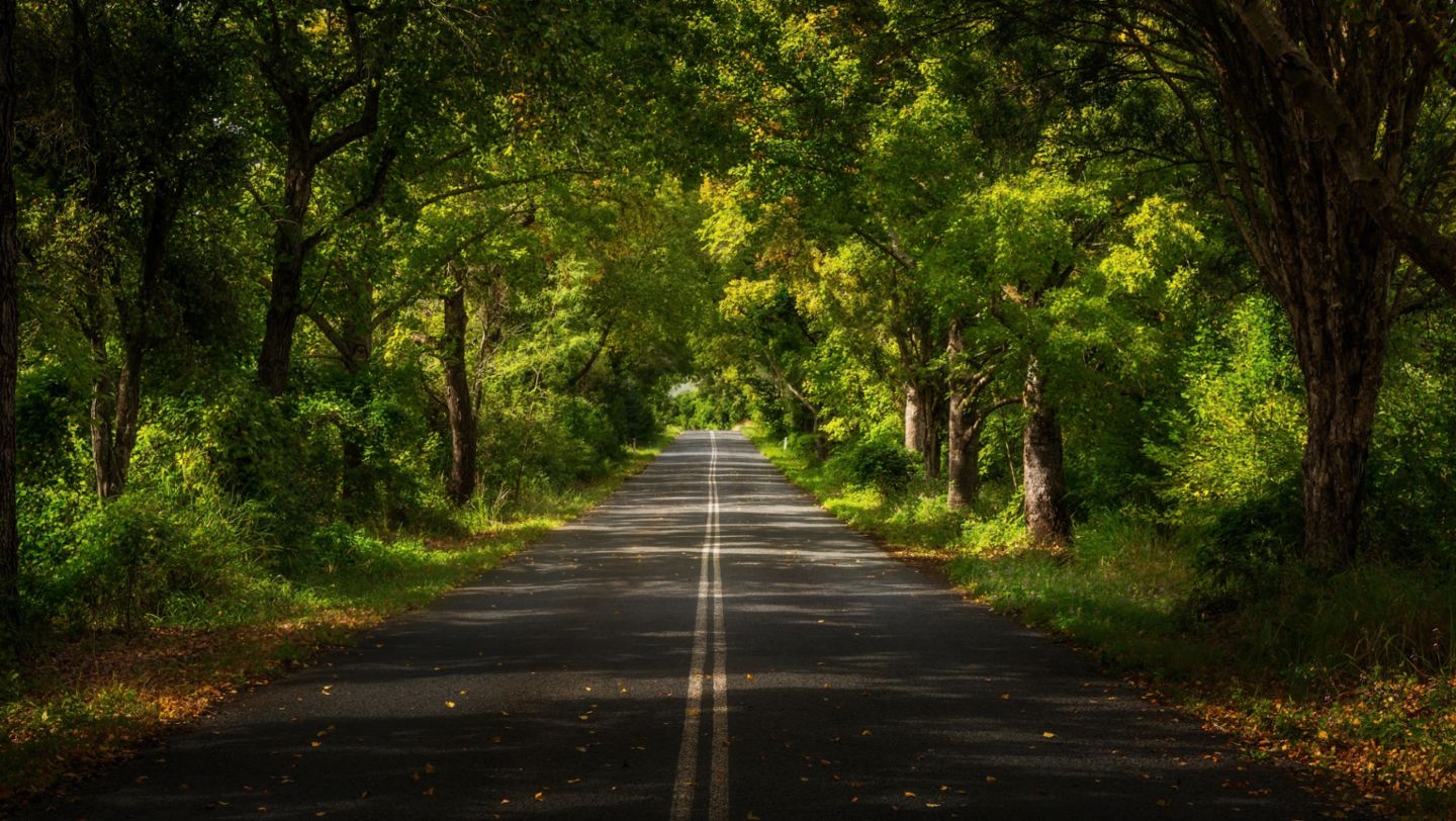 Obi Obi Road, Noosa, Queensland, Australia, 2021, Porsche AG